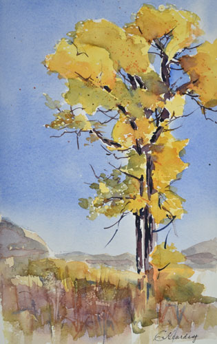 w_Cottonwood-Study-1.jpg