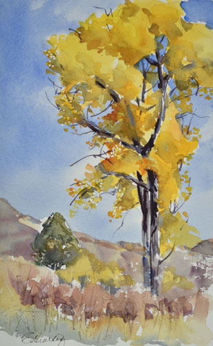 w_Cottonwood-Study-2.jpg