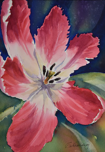 w_Parrot-Tulip.jpg