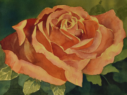 w_Rose-Shadows.jpg
